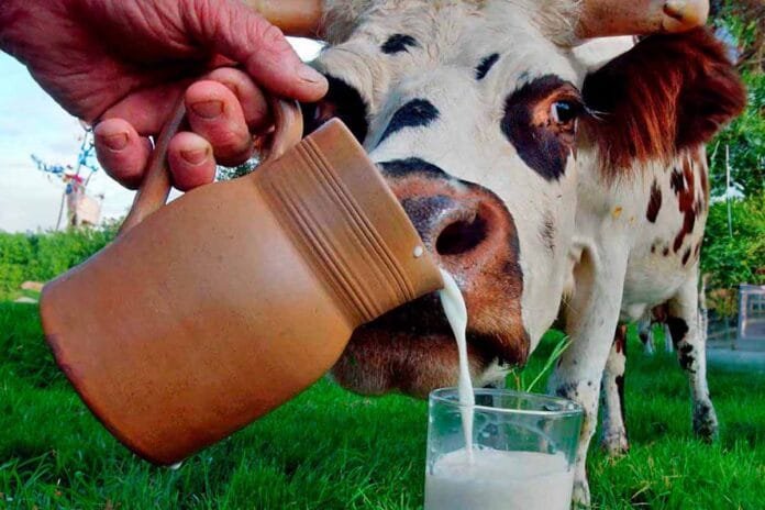 Международный день молока